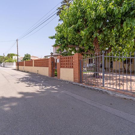 Apart-Rent Casa Con Jardin Pani 0081 Empuriabrava Eksteriør bilde